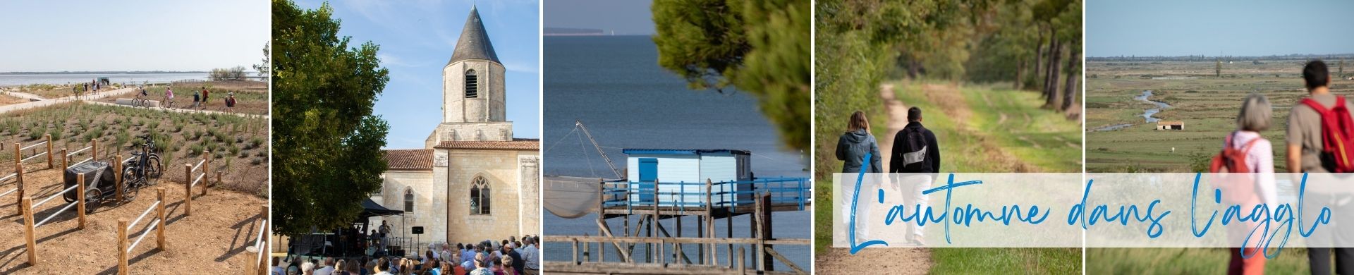 image de couverture du site 