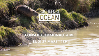 visuel du conseil communautaire du 27 mars 2025