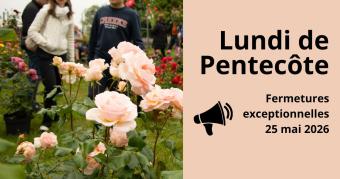 Pentecote fermetures exceptionnelles 2026