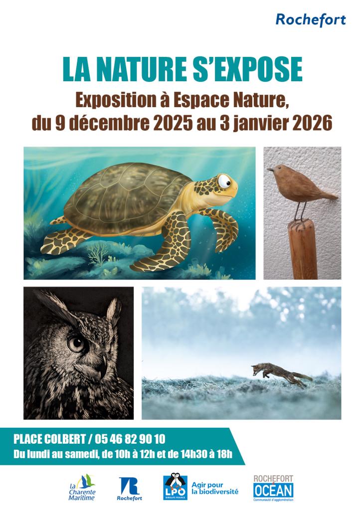 Exposition