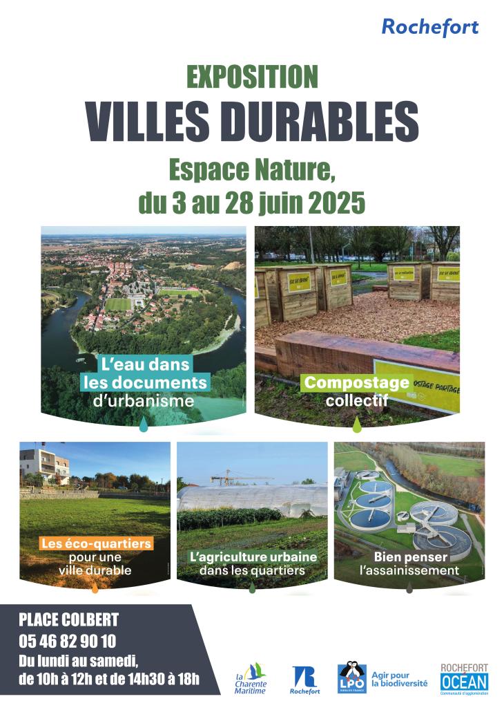 Exposition
