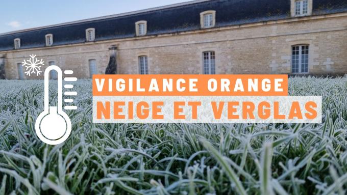 Neige vigilance