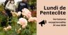Pentecote fermetures exceptionnelles 2026
