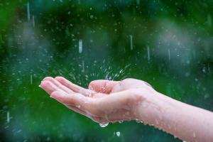 une main qui récupère l'eau de pluie